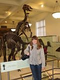 Rachel and the Dinosaur